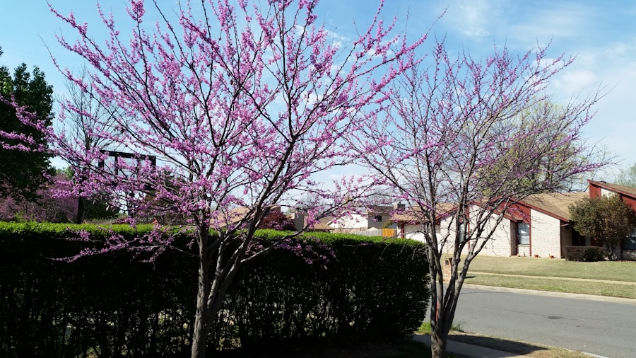 Photo "fashionable colors this spring"