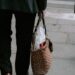 Photo trendy handbags