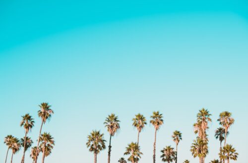 Photo fashion for 50 year old