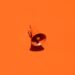 Photo orange color