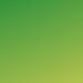 Photo green color